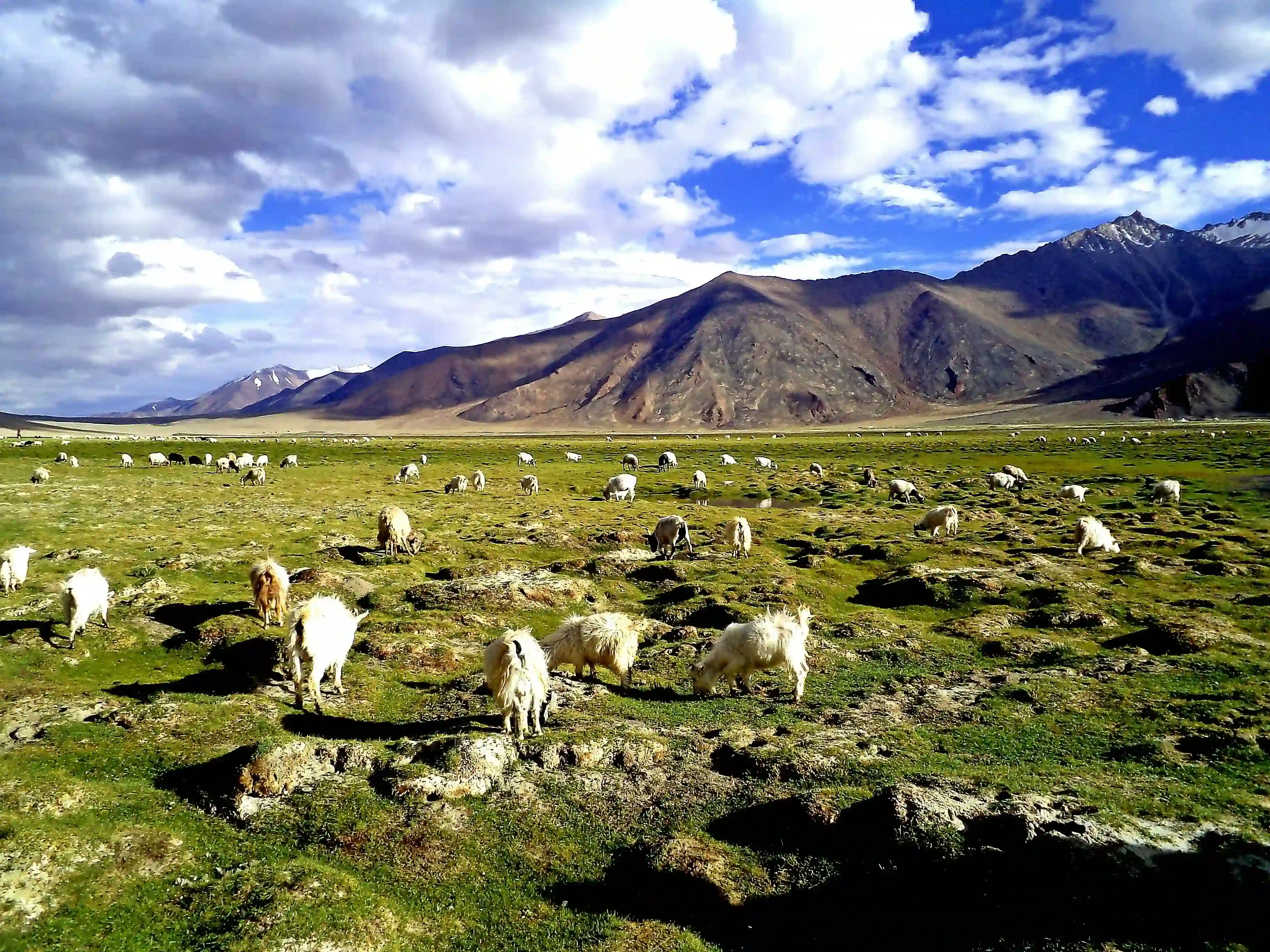 Delhi Manali Ladakh Kashmir Tour